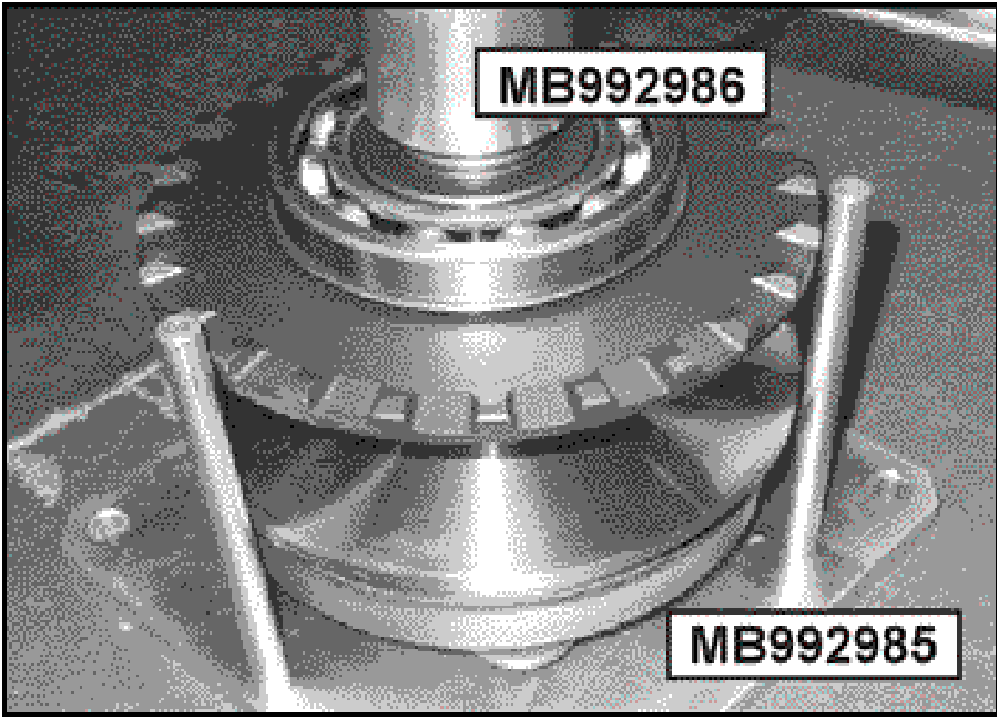 520065657_graphic-text238